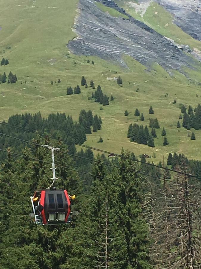 Les Pierres Blanches Mont Blanc Apartment Les Contamines-Montjoie Luaran gambar